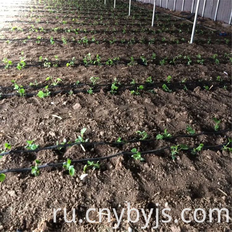 Drip Irrigation 94